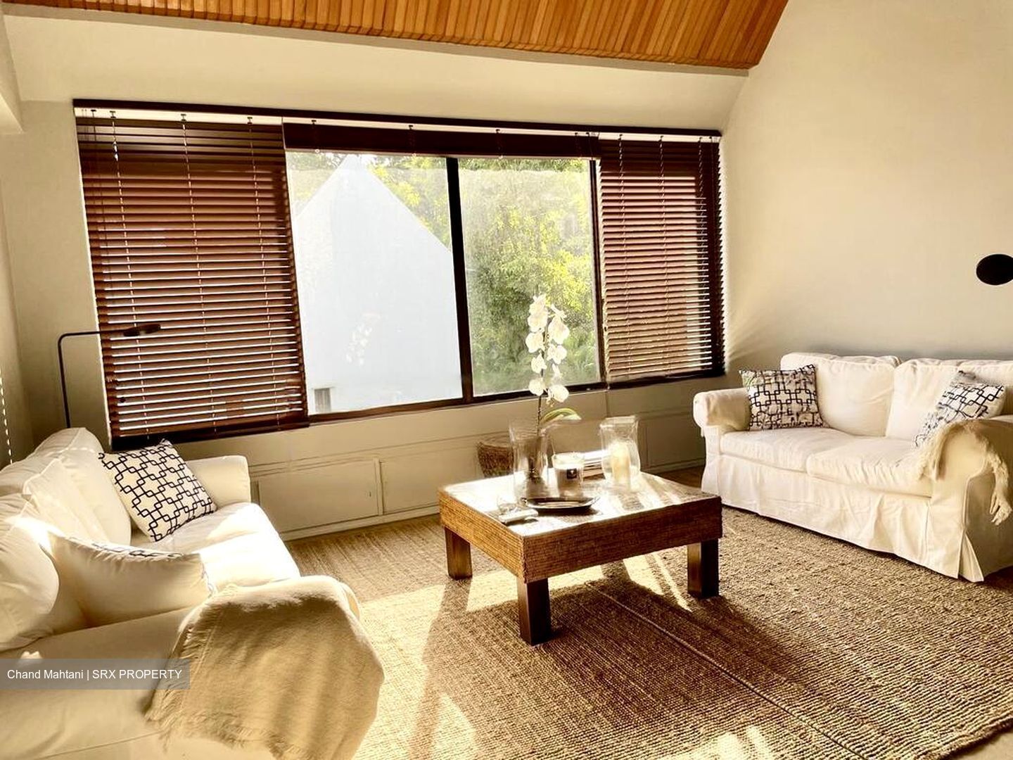 Dynasty Garden (D10), Condominium #485884861